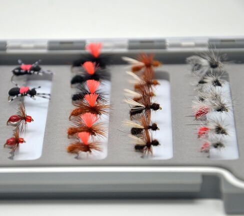 Outdoor Planet 12 / 24 Pack All-Time Favorites Dry Fly and Nymph Lure Assortment for Trout Fly Fishing in Kuwait