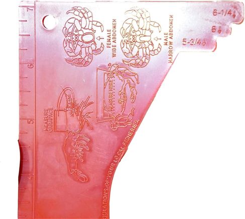 سينسوري 4 يو مصيدة سلطعون قابلة للطي مع حبل صب وصندوق طعم شبكي واداة قياس سرطان البحر وربطات بسحاب in Kuwait