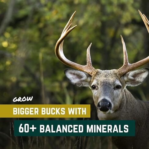 TROPHY ROCK Redmond FOUR65 30lb Bag in Saudi Arabia