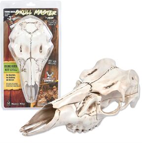 ماونتن مايز المستنسخ سكل ماستر الطبيعية الأسباب الصغيرة in Kuwait