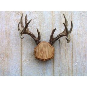 The تاكسيديرميستس وود شوب Medium Oak The Deer Stand Antler Mounting Kit in Kuwait