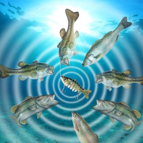 Lifelike Fishing Lures for Bass, Trout, Walleye, Predator Fish - Realistic Multi Jointed Fish Popper Swimbaits - Spinnerbaits Lure Fishing Tackle Kits - Freshwater and Saltwater Crankbaits - 3 Pack in Kuwait