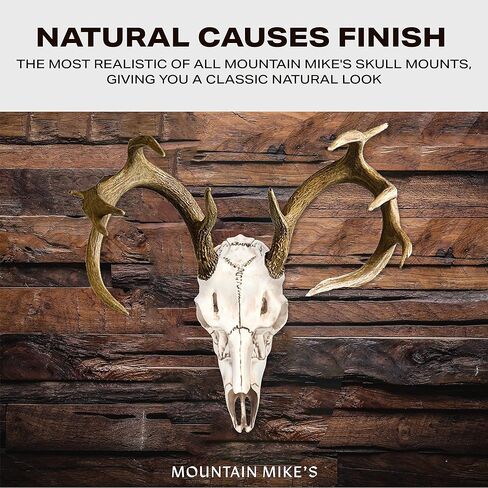 ماونتن مايز المستنسخ سكل ماستر الطبيعية الأسباب الصغيرة in Kuwait