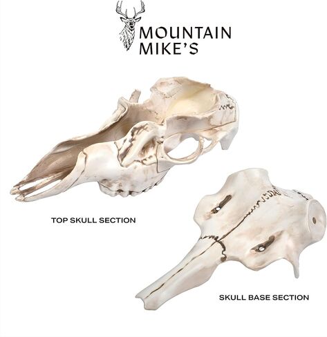 ماونتن مايز المستنسخ سكل ماستر الطبيعية الأسباب الصغيرة in Kuwait