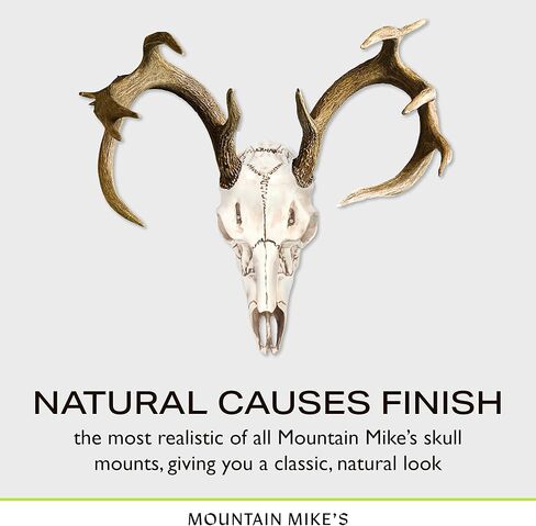 ماونتن مايز المستنسخ سكل ماستر الطبيعية الأسباب الصغيرة in Kuwait