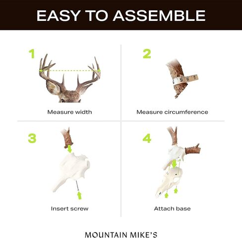 ماونتن مايز المستنسخ سكل ماستر الطبيعية الأسباب الصغيرة in Kuwait