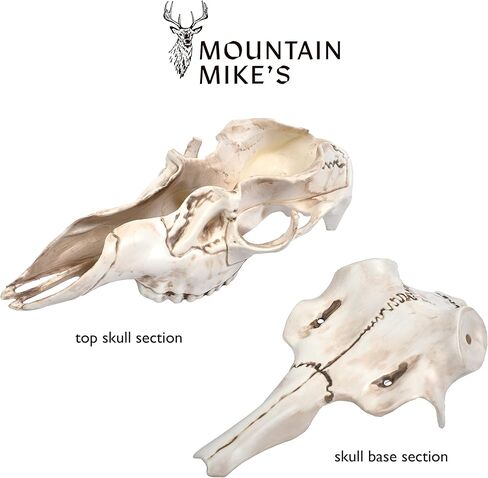 ماونتن مايز المستنسخ سكل ماستر الطبيعية الأسباب الصغيرة in Kuwait