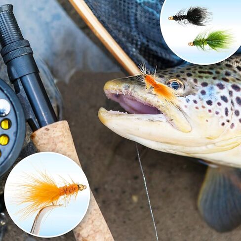 24 قطعة من غاسل البرجر الصوفي ذبابة صيد ذباب نيمف سمك السلمون المرقط الطائر تشكيلة غاسل سمك السلمون المرقط ذبابة مع صندوق الطيران in Kuwait