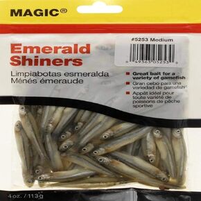 MAGIC Preserved Minnows Fishing Bait in Saudi Arabia