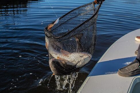Frabill Power Stow Poly Net | Foldable Fishing Net for Easy Storage | For Freshwater and Saltwater Fishing , 10 x 39-Inch in Saudi Arabia