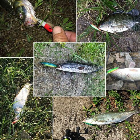Fishing Lures Hard Bait Minnow Swimbait Crankbait Jerkbait Popper Topwater Lures with Treble Hooks 3D Eyes Freshwater Saltwater Fishing Lures for Bass Trout Walleye Pike Catfish in Kuwait