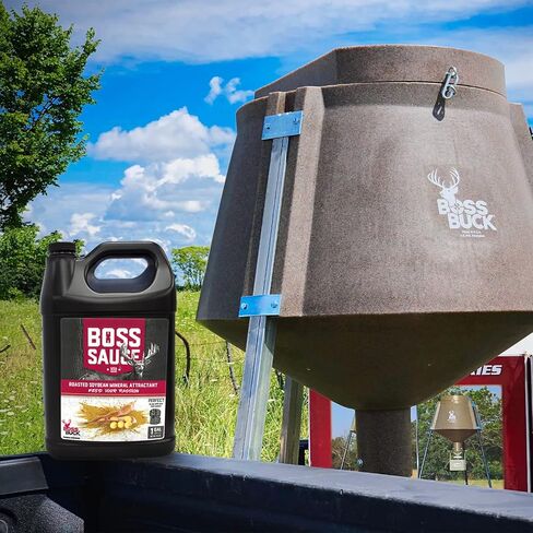 بوس باك بوس باك بوس in Kuwait