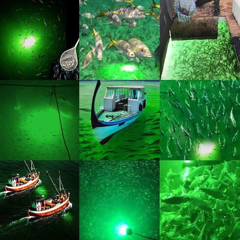 SAMDO IP68 12V LED Underwater Fishing Light 1080 Lumens Fish Attracting Light, Night Fishing Light 10.8W in Kuwait