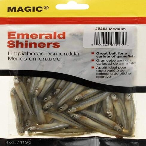 MAGIC Preserved Minnows Fishing Bait in Saudi Arabia