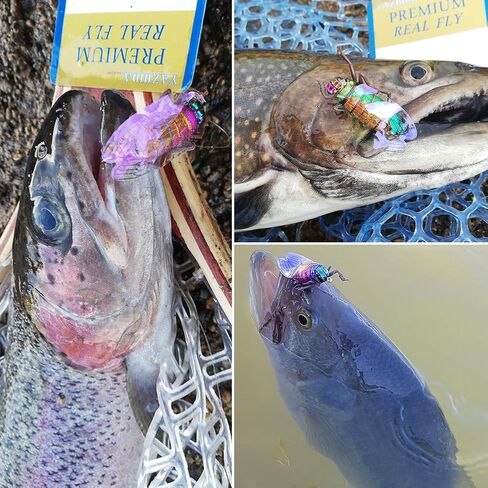 YZD Fly Fishing Flies Realistic Dry Wet Nymph Trout Flies Hand Tie Lures Kits 12/26/48 Pcs… in Kuwait