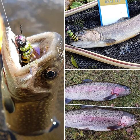 YZD Fly Fishing Flies Realistic Dry Wet Nymph Trout Flies Hand Tie Lures Kits 12/26/48 Pcs… in Kuwait