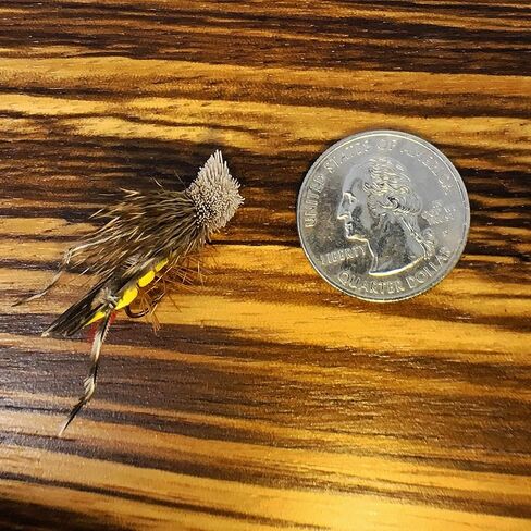 Dave's Hopper Dry Fly Fishing Set - 6 Pcs, Hook Size #10 - Topwater Terrestrial Grasshopper Flies for Bass, Panfish, Trout by Thor Outdoor in Saudi Arabia