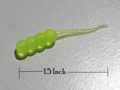 Dancing Waxie 1.5 Inch Panfish/Crappie/Perch Bait - 40 Pack - Scented in Kuwait