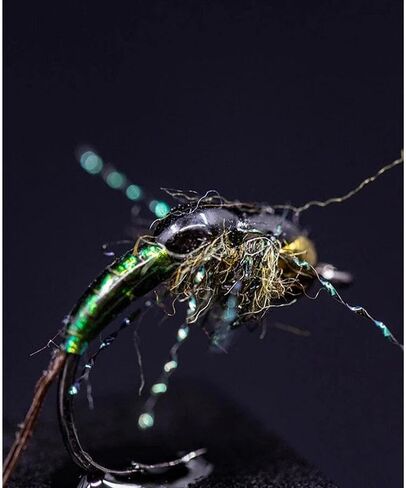 UV Colored Fly Finish in Kuwait