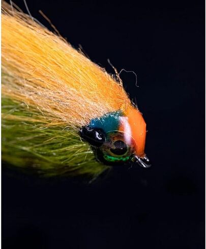 UV Colored Fly Finish in Kuwait