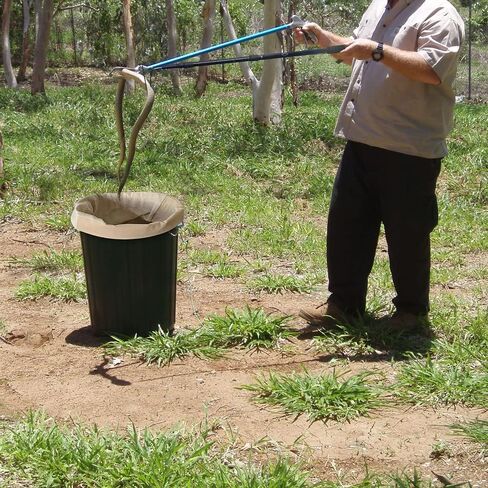 ICLOVER حقيبة الزواحف الأفعى مع الرباط، 20 بوصة × 28 بوصة حقيبة صيد الثعابين الكبيرة شديدة التحمل مع زوايا سفلية مخيطة لتحريك النقل والتقاط صيد الثعابين والزواحف in Kuwait