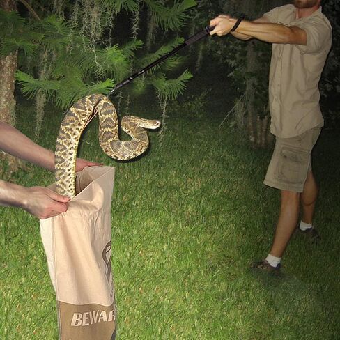 ICLOVER حقيبة الزواحف الأفعى مع الرباط، 20 بوصة × 28 بوصة حقيبة صيد الثعابين الكبيرة شديدة التحمل مع زوايا سفلية مخيطة لتحريك النقل والتقاط صيد الثعابين والزواحف in Kuwait