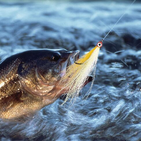 Clouser Minnow Fishing Flies, 10pcs Saltwater Fly Fishing Lures Hand Tied Clouser Minnow Fly Streamer Hooks for Bass Striper Flounder Saltwater Freshwater in Kuwait
