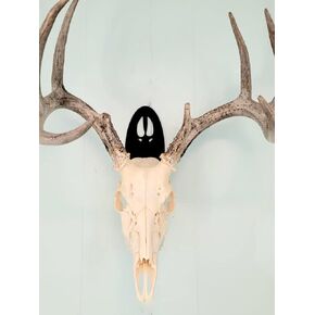 The Taxidermists' Woodshop Deer Track European Mount Skull Hanger - Quick and Easy Display for Antlers in Saudi Arabia