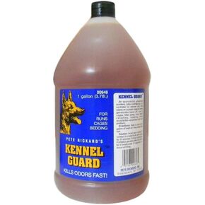 Pete Rickard's Kennel Guard in Kuwait