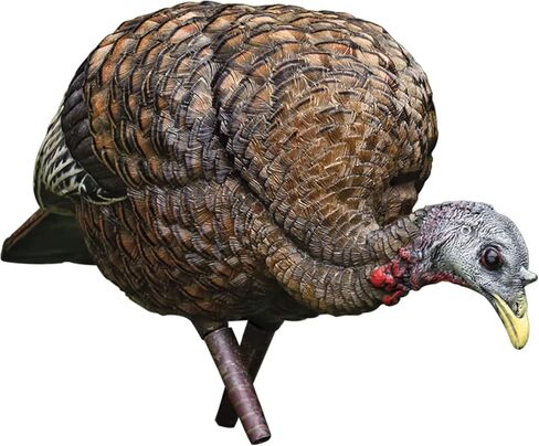 AVIAN-X LCD Feeder Hen Turkey Decoy | Durable Realistic Lifelike Collapsible Standing Hunting Decoy with Carry Bag & Stake, AVX8007 in Kuwait