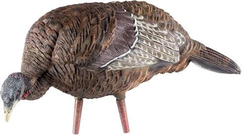 AVIAN-X LCD Feeder Hen Turkey Decoy | Durable Realistic Lifelike Collapsible Standing Hunting Decoy with Carry Bag & Stake, AVX8007 in Kuwait