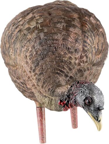 AVIAN-X LCD Feeder Hen Turkey Decoy | Durable Realistic Lifelike Collapsible Standing Hunting Decoy with Carry Bag & Stake, AVX8007 in Kuwait