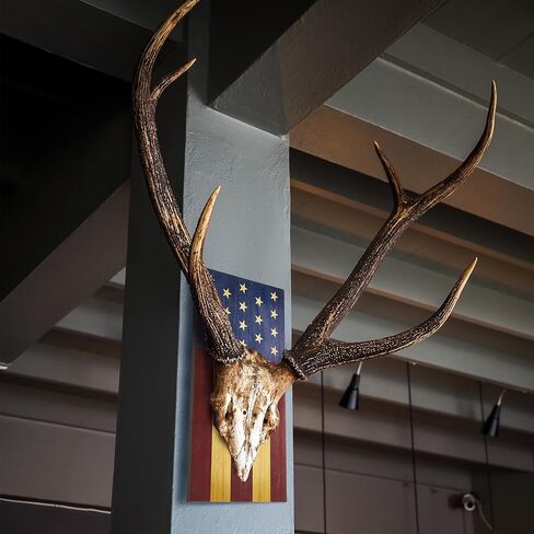 Sintuff 2 جهاز كمبيوتر شخصى العلم الغزلان الجمجمة تركيب عدة الأوروبي جبل الجمجمة شماعات خشبية الغزلان تصاعد اللوحة لقرون الجمجمة القرن الجدار ديكور المنزل في الهواء الطلق هدية عيد الاستقلال، 17 × 8 × 0.6 بوصة in Kuwait