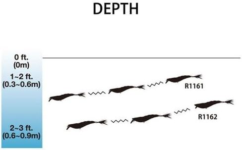 مبارزة HPB in Kuwait