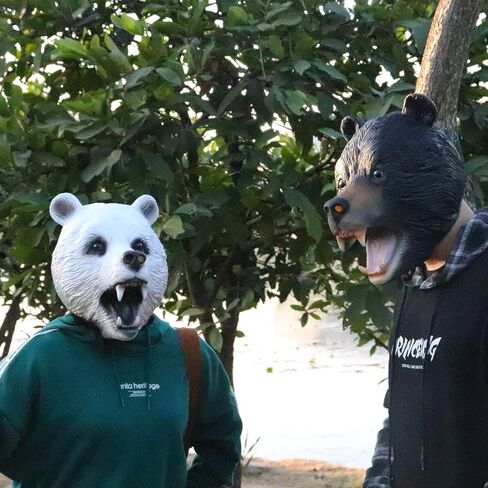 قناع للرأس على شكل دب بري مناسب لحفلات الهالوين التنكرية والحفلات التنكرية (دب أسود) in Kuwait