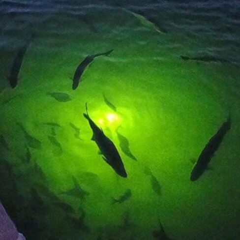 70W 130W DC 12V IP68 Waterproof Aluminum High Power Glowing Boat Fish Attractants Lure Green Submersible Fishing Lights LED Underwater For At Night Snook Crappie with Battery Clips Cigarette Charger Plug in Kuwait
