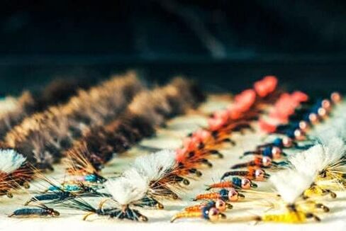 Set of 3 Slim Fly Box Fishing Flies Box Organizer, Clear Fly Flies Tackle Box, Trout Thin Fly Box,Bug box in Kuwait