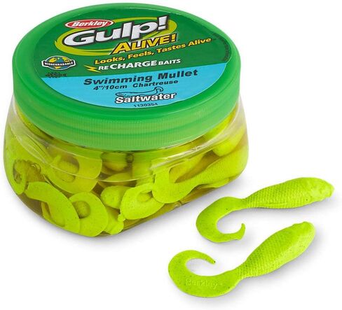 مجموعة أدوات السباحة Berkley Gulp Alive in Saudi Arabia