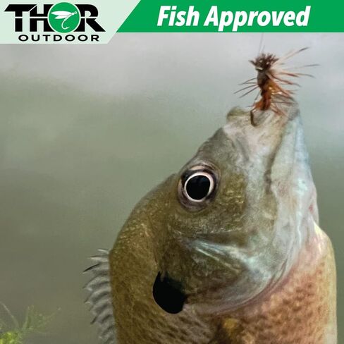 Thor Outdoor Elk Hair Caddis Dry Fly Set - Simple, Effective Fly Fishing Flies for Trout, Bluegill, Freshwater Panfish in Kuwait