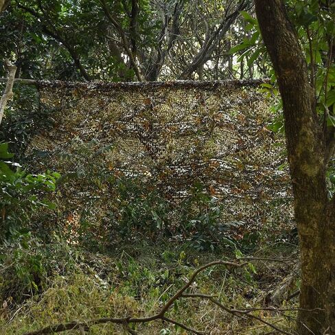 LOOGU Camo Netting, Camouflage Netting Camouflage Net Blinds for Sunshade, Camping, Shooting and Hunting and Many More in Kuwait