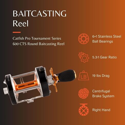 Catfish Pro Tournament Series 600CTS Round Baitcasting Reel - 6+1 Stainless Steel Ball Bearings, 5.3:1 Gear Ratio, 19lb Drag, Brass Gears, Centrifugal Brake, Durable & Powerful for Big Catfish Fishing in Kuwait
