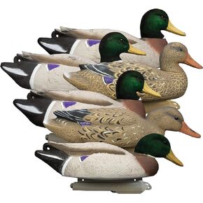 Higdon Outdoors Battleship Mallard Duck Decoys, Foam-Filled, Flocked Heads in Kuwait