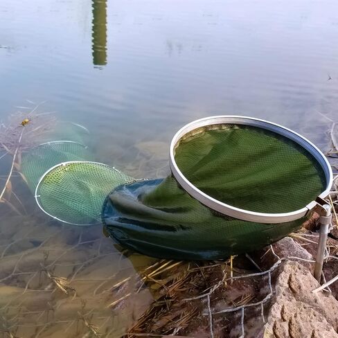 Kangdun Collapsible Fish Keeping Net - Rubberized Mesh Fishing Basket - Foldable Fish Live Well for Dock & Kayak - Keep Bait and Fish Alive in Saudi Arabia