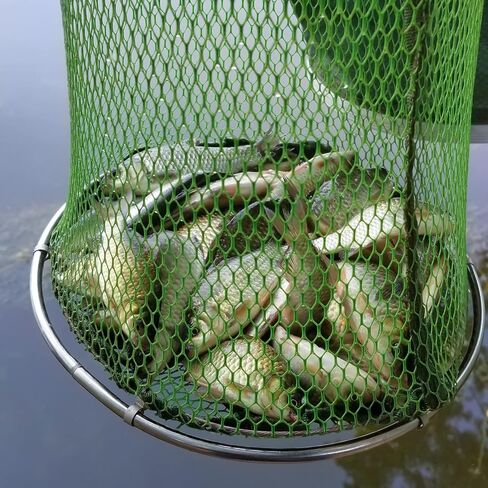 Kangdun Collapsible Fish Keeping Net - Rubberized Mesh Fishing Basket - Foldable Fish Live Well for Dock & Kayak - Keep Bait and Fish Alive in Saudi Arabia