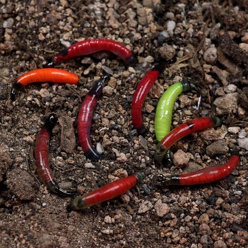 الويفر جاردن دودة فلاي حزمة من 20 قطعة، حجم 8 نيمف إيرث دودة واقعية تطير لسمك السلمون المرقط الطارد للصيد بلون أزرق مائل للصيد in Kuwait