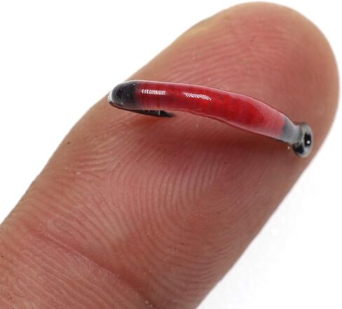 الويفر جاردن دودة فلاي حزمة من 20 قطعة، حجم 8 نيمف إيرث دودة واقعية تطير لسمك السلمون المرقط الطارد للصيد بلون أزرق مائل للصيد in Kuwait