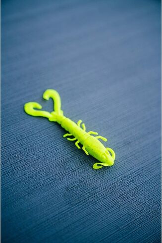 بيركلي غالب! برغوث سرطان البحر الرملي بالمياه المالحة برغوث طبيعي 1 بوصة | 3 سم in Kuwait