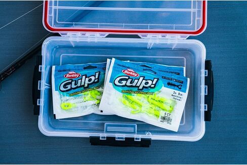 بيركلي غالب! برغوث سرطان البحر الرملي بالمياه المالحة برغوث طبيعي 1 بوصة | 3 سم in Kuwait