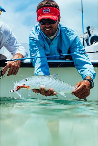 بيركلي غالب! برغوث سرطان البحر الرملي بالمياه المالحة برغوث طبيعي 1 بوصة | 3 سم in Kuwait