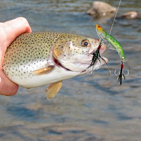 Proximitck 5 قطع من طُعم الصيد وملاعق الصيد وملعقة صب معدنية وطعم سمك السلمون المرقط مع ريشة للمياه العذبة والمياه المالحة in Kuwait